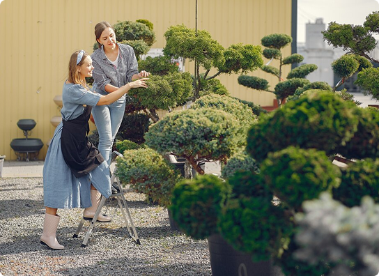 Enhancing Your Outdoor Space: The Key to Effective Landscaping